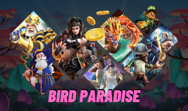 Bird paradise